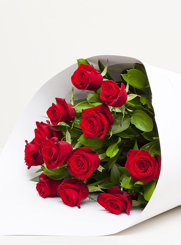 12 red Roses wrapped