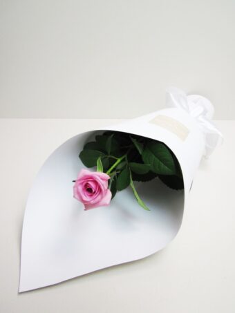 Valentine's Day - Single Pink Rose