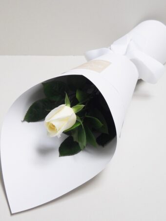 Valentine's Day - Single White Rose