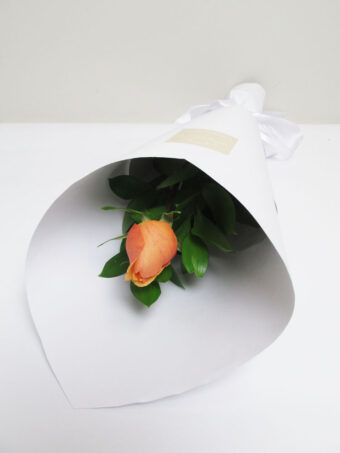 Valentine's Day - Single Orange Rose