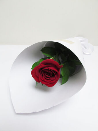 Valentine's Day - Single Red Rose