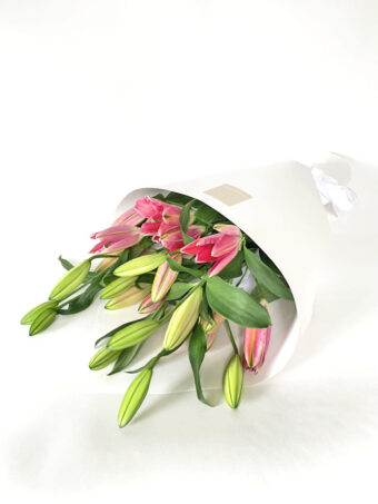 Mother's Day - Pure Pink Lilies (5 Stems)