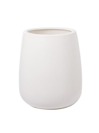 Large Monstera Deliciosa Plant and Pot - Image 3