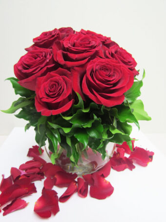 Valentine's Day - Short Scarlet Red Rose Posy
