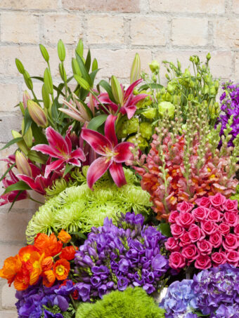 florist-choice-vibrant
